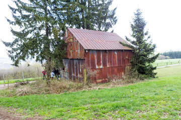 Fototapeta premium countryside