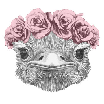 Portrait of Ostrich with floral head wreath. Hand-drawn illustration.