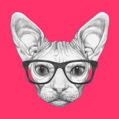 Portrait of Sphynx Cat with glasses. Hand-drawn illustration.