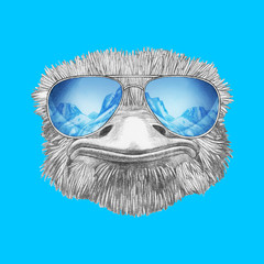 Portrait of Ostrich with mirrored sunglasses. Hand-drawn illustration.