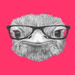 Portrait of Ostrich with glasses. Hand-drawn illustration.