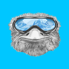 Portrait of Ostrich with goggles. Hand-drawn illustration.
