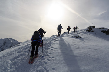 Group of people hiking on snowshoes and mountain snow panorama with summit cross in Stubai Alps,...