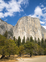 Fototapeta na wymiar Yosemite National Park - California, USA