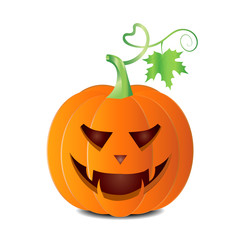 Autumn halloween Pumpkin vector isolated on white background