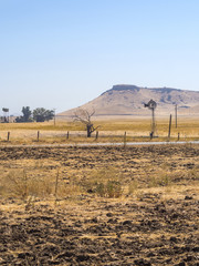 Yosemite National Park - California, USA