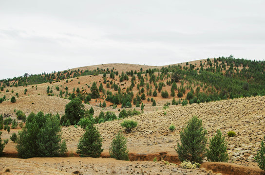 Landscapes of Flinders Ranges, South Australia