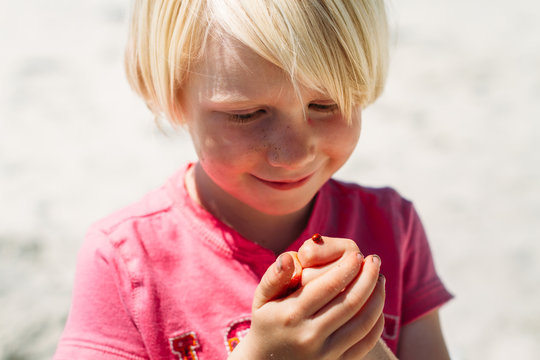 cute girl holding a ladybug on the beach