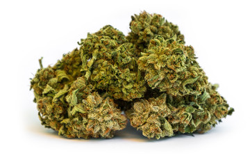 Silver Haze / Medical Marijuana CBD
