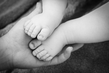 Baby feet in mother hand.  Newborn baby feet, concept of happy family and family support, black and white photo