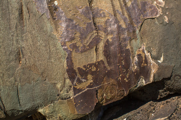 Petroglyphs of Altay. Ancient rock paintings in the Altai Mountains, Russia.