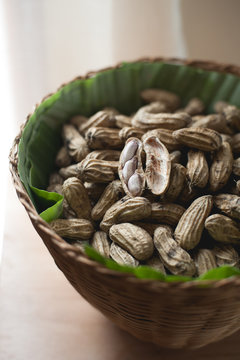 Groundnut