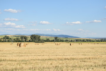 Obraz premium Bale of hay in the field 16