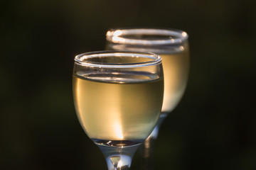 Still life with wine under the open sky
