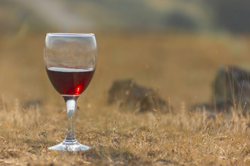 A glass of red wine on a neutral background
