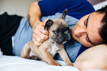 Caucasian man lying in bed with a french bulldog puppy