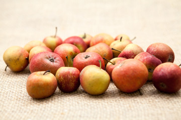Small, red apples with burlap texture in the background
