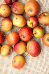 Small, red apples with burlap texture in the background
