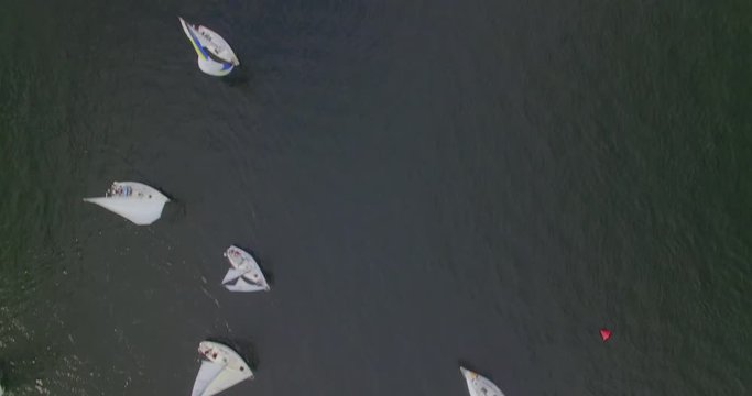 [Aerial] Top-down fly over of sailboats 
