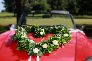 Herz, aus Efeu und weißen Rosen, auf einer roten Motorhaube