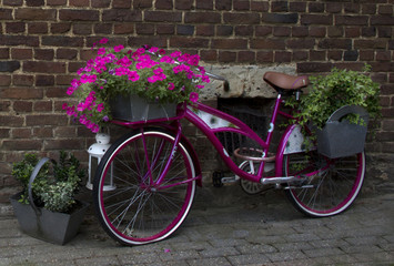 Fototapeta na wymiar Bike with pink flowers 