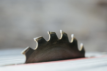 Close-up of teeth of a circular table saw blade.