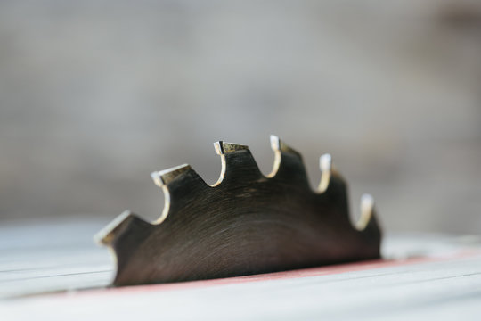 Close-up of teeth of a circular table saw blade.