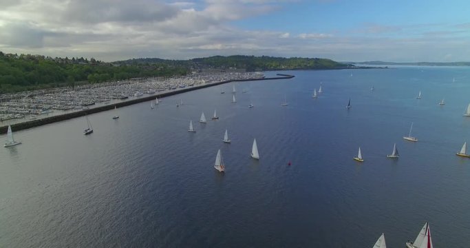 [Aerial] Slow movement above sailboats on lake. Marina backdrop