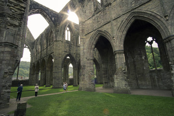 Obraz premium Tintern Abbey 3