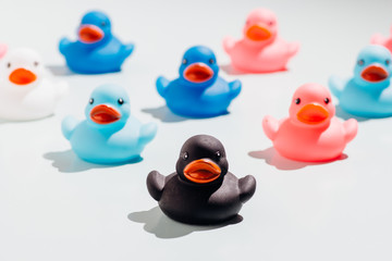 Colorful rubber ducks