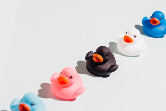 Colorful rubber ducks