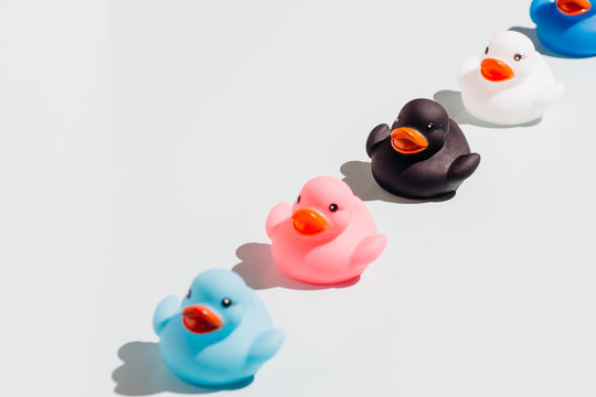 Colorful rubber ducks