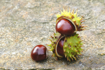 Kastanien, Dekoration