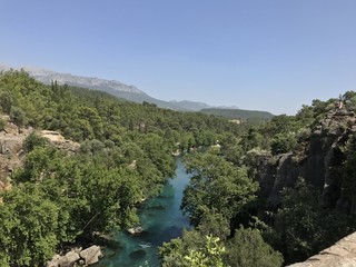 flower nature  spring green plant pink blossom floral white