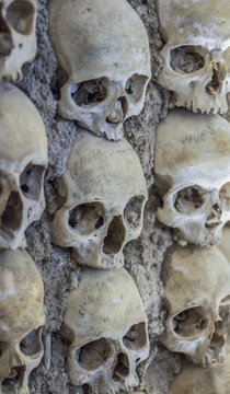 Pattern of skulls and bones