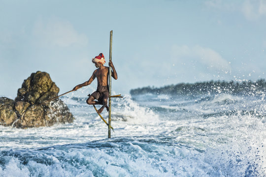 Sri Lanka Stilt Fisher