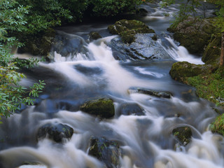 Mountain stream in green forest at Autumn time