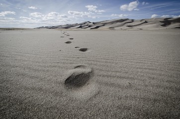 Fototapeta na wymiar Footprints. Great Sand Dunes National Monument. Colorado.