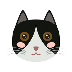 Isolated cute cat icon on a white background, Vector illustration