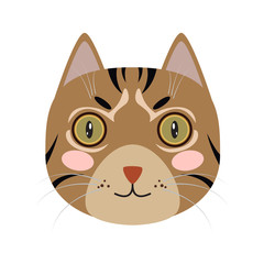 Isolated cute cat icon on a white background, Vector illustration