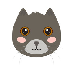 Isolated cute cat icon on a white background, Vector illustration