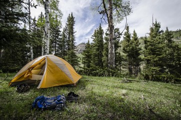 Camp site. Cruces Basin Wilderness. New Mexico.