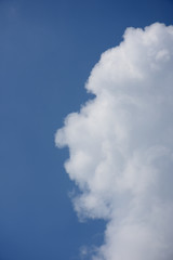Fototapeta na wymiar 青空と雲「空想・雲のモンスター」視線を向ける、視認するなどのイメージ