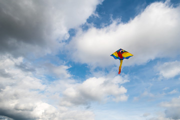 Kite flying in the air
