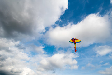 Kite flying in the air
