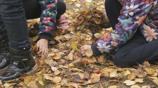 Autumn time. Unidentified little children dressed in warm jackets take the yellow foliage in their hands in the park in autumn