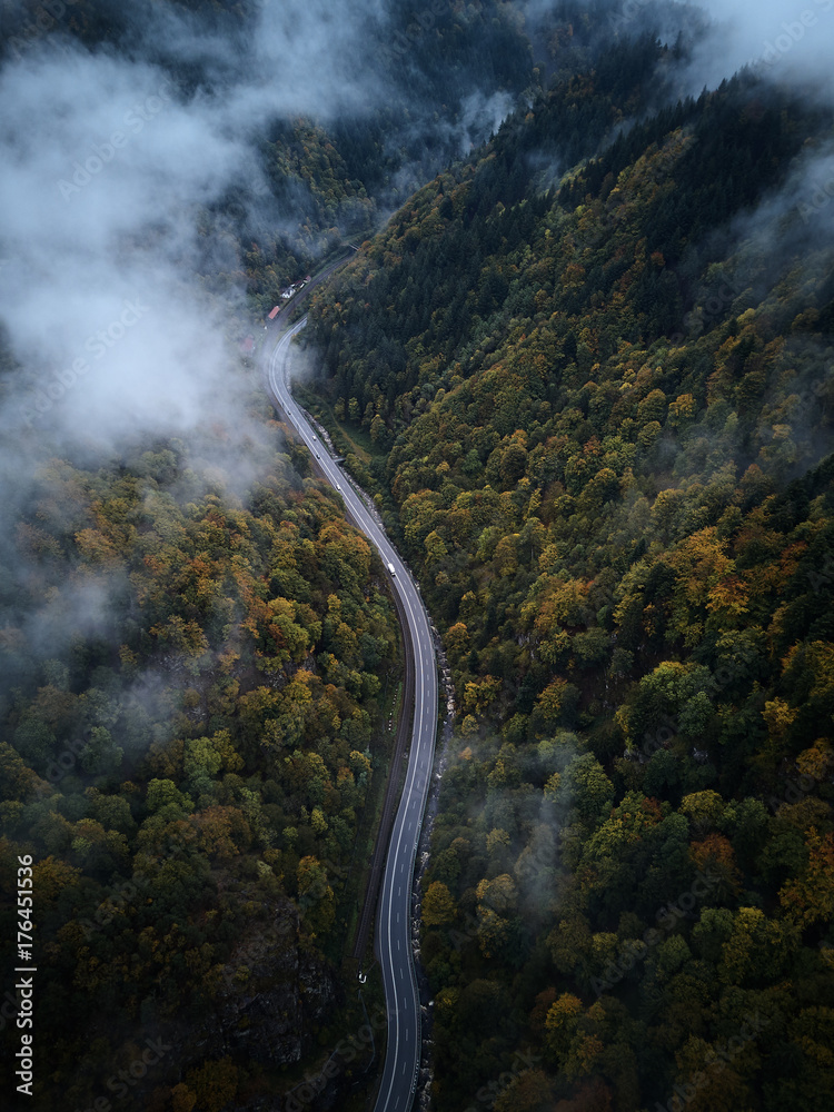 Poster street from above trough a misty forest at autumn, aerial view flying through the clouds with fog and trees - Posters