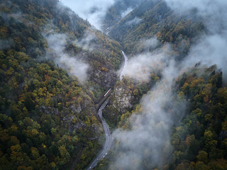 street from above trough a misty forest at autumn, aerial view flying through the clouds with fog and trees