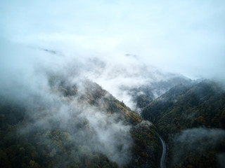 street from above trough a misty forest at autumn, aerial view flying through the clouds with fog and trees