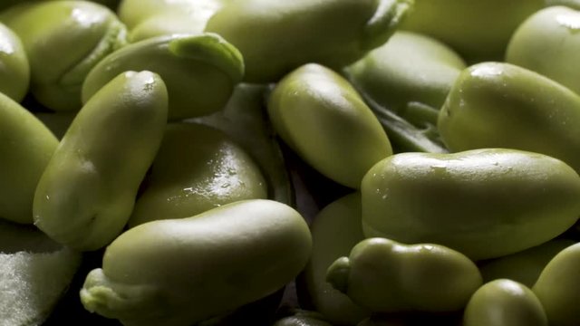 Extreme close up of a pile of rotating sweating, backlit, green fava beans piled on top of a couple of favas in their pods.